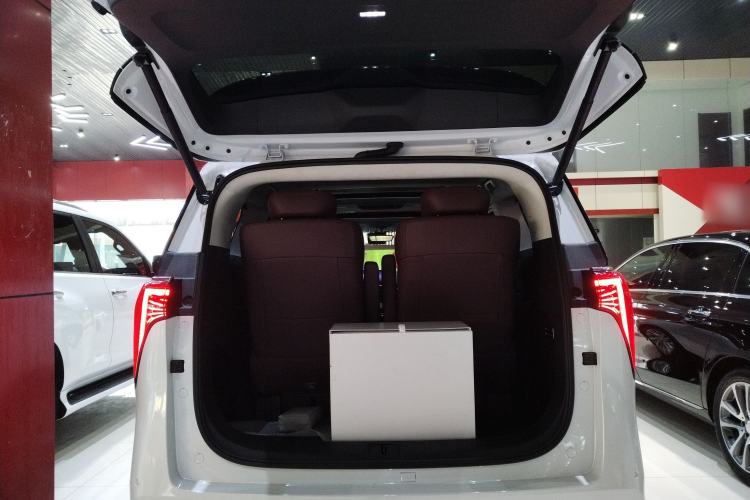 Used Buick Century 2023 2.0T Six-Seater Yinshi Edition