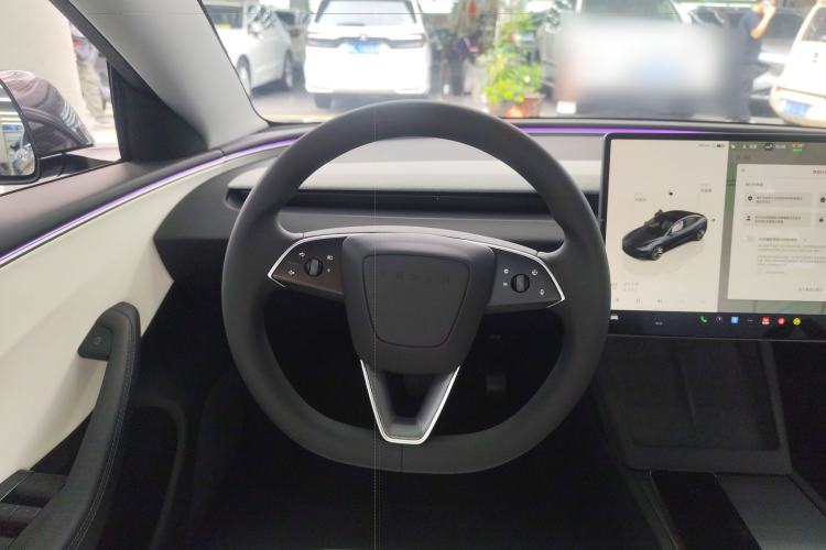 Used Tesla Model 3 2023 Rear-Wheel-Drive Version