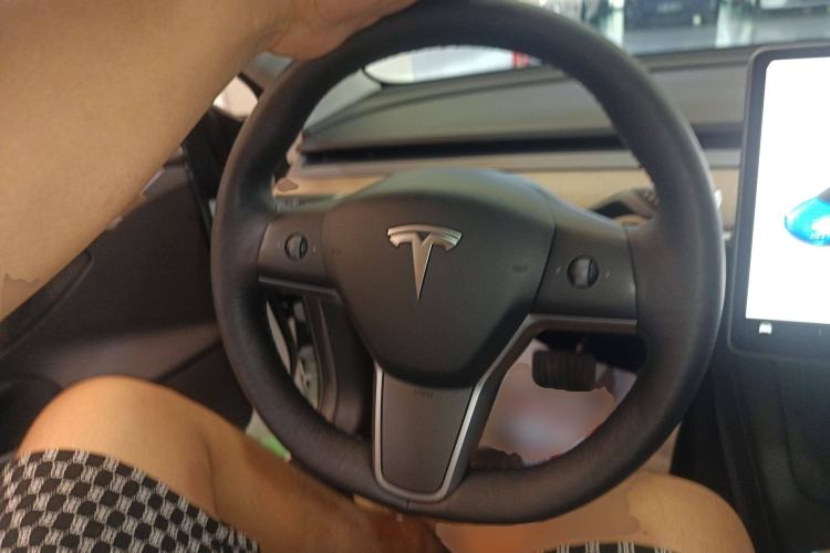 Used Tesla Model 3 2022 Rear-Wheel-Drive Version