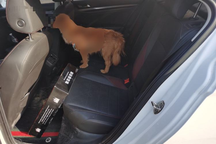 Used Volkswagen Bora 2021 1.5L Automatic Elite Smart Connect Edition