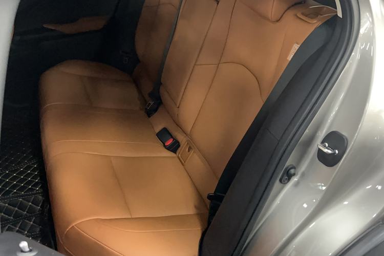 Used Lexus UX New Energy 2020 300e Pure·Joy Edition