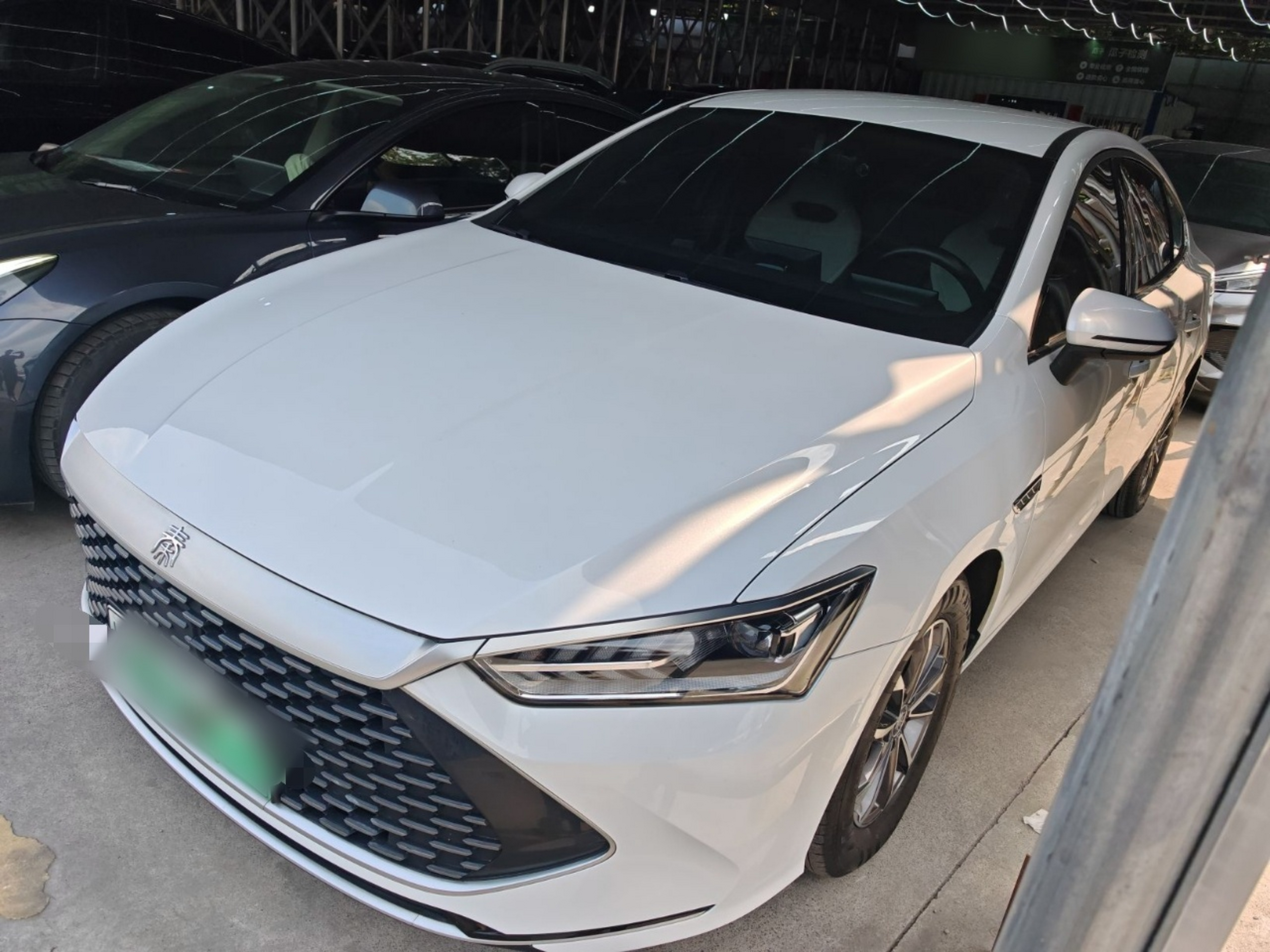 Parte inferior delantera