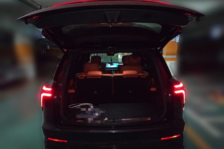 Used Wey Lanshan 2023 Four-Wheel Drive Ultra-Long Range Version