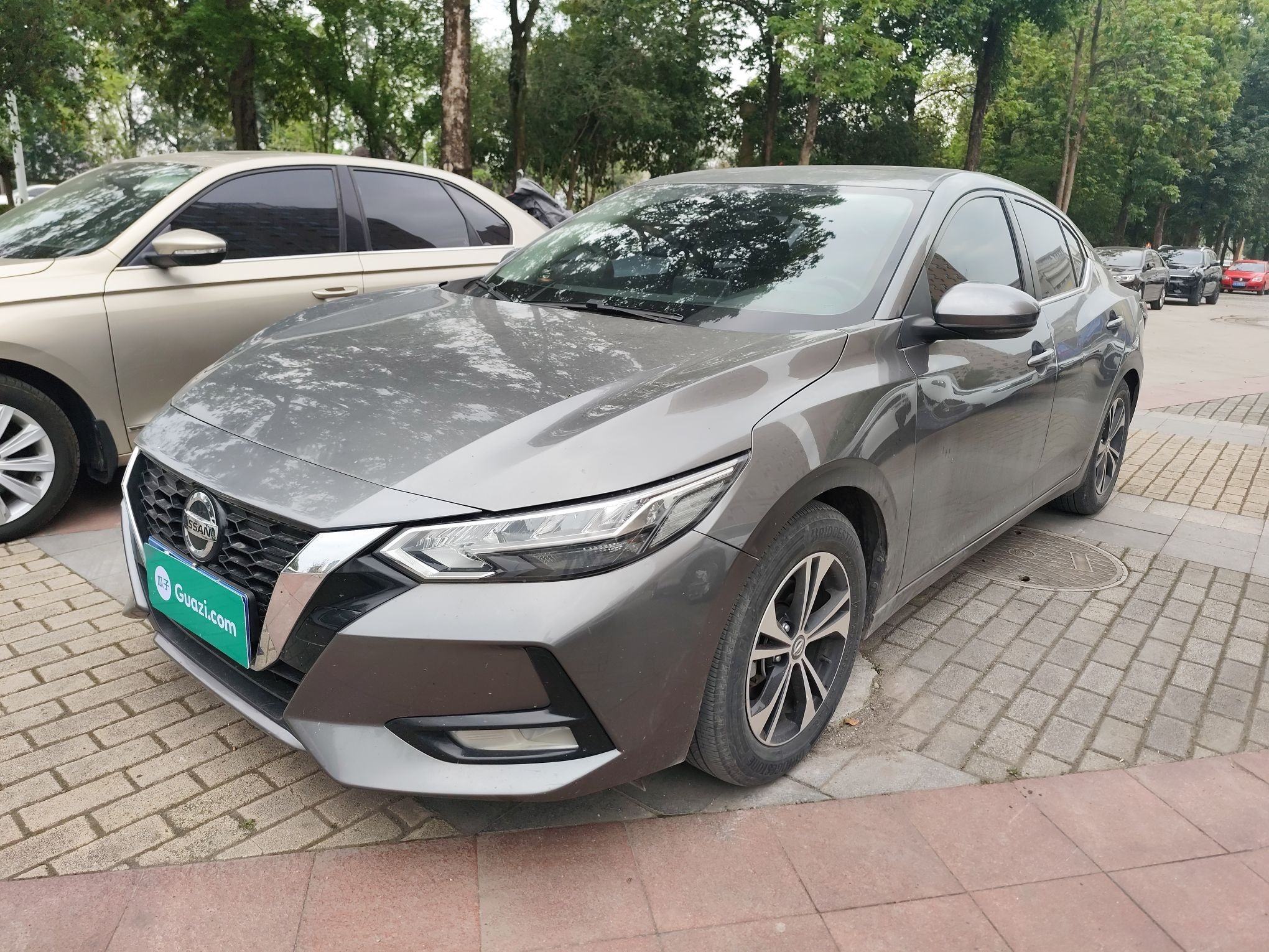 Parte inferior delantera