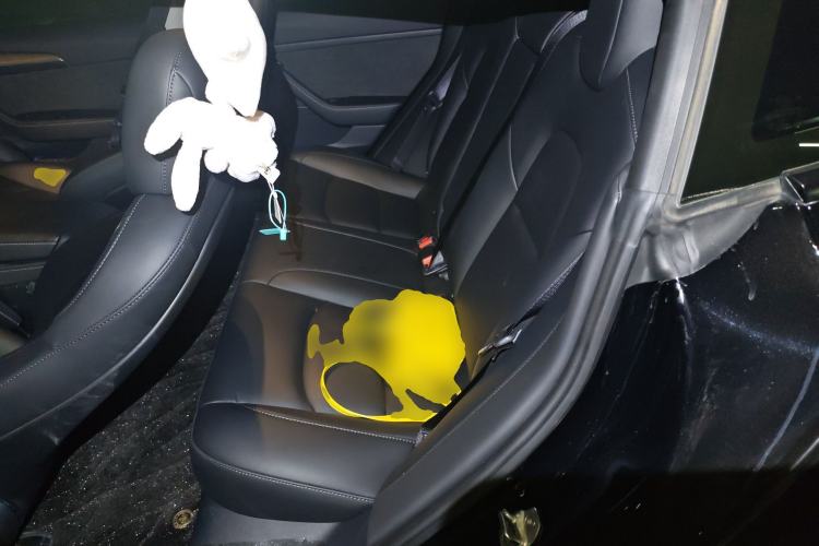 Used Tesla Model 3 2022 Rear-Wheel-Drive Version