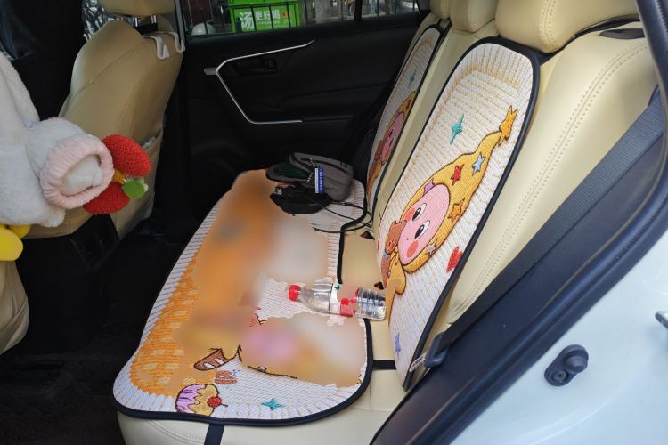 Used Toyota Wildlander 2023 2.0L CVT Two-Wheel Drive Leading Edition Left Rear Seat