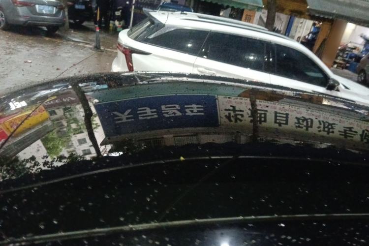 Used Tesla Model 3 2020 Long-Range Rear-Wheel-Drive Version Roof