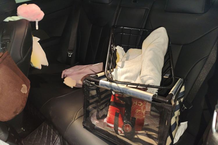 Used BMW 4 Series 2024 430i M Sport Night Edition Left Rear Seat