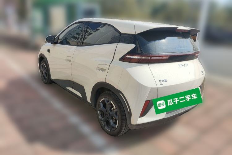 Used BYD Seagull 2025 Smart Drive Version 305 km Freedom Edition
