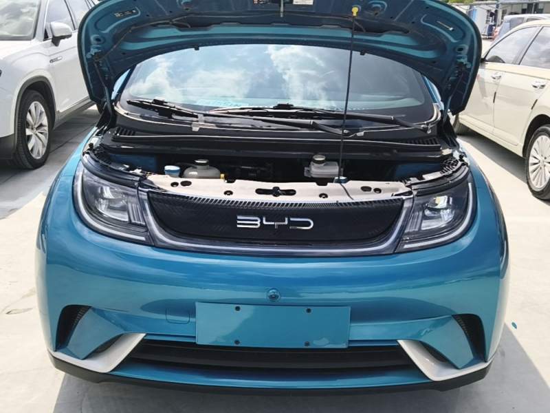 Used BYD Dolphin 2021 405 km Fashion Edition — 19