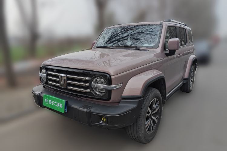 Used Tank 300 2021 City Edition 2.0T—Truly Stylish