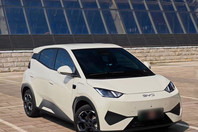 Used BYD Seagull 2025 Smart Drive Version 305 km Freedom Edition
