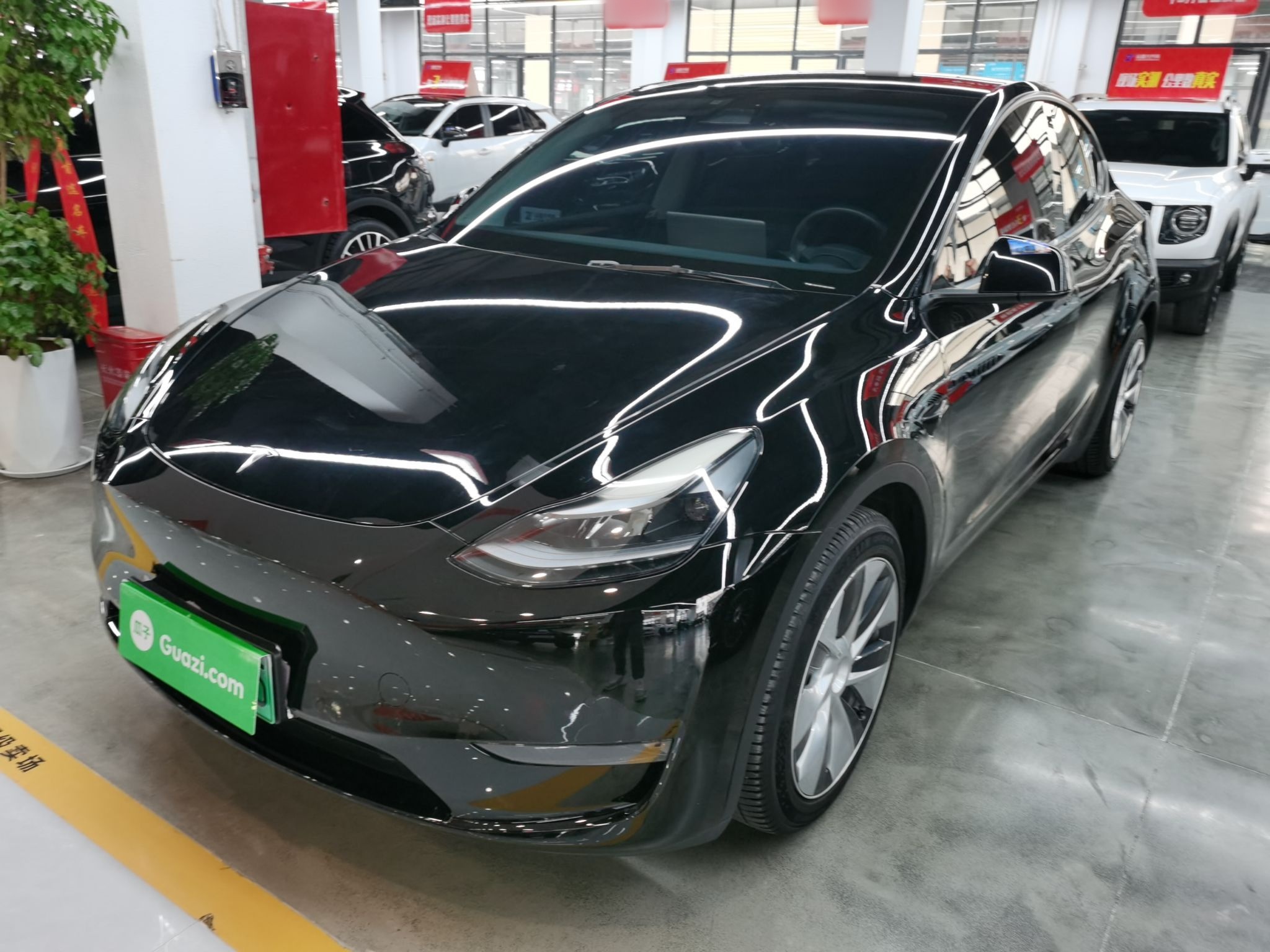 Parte inferior delantera