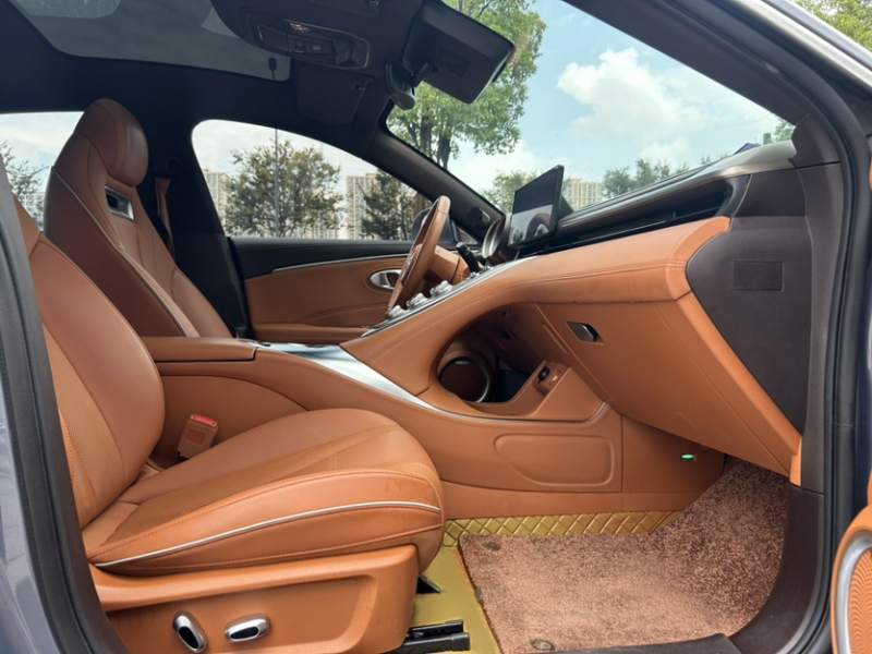 Used ORA Lightning Cat 2022 555 km Luxury Edition – Premium — 24