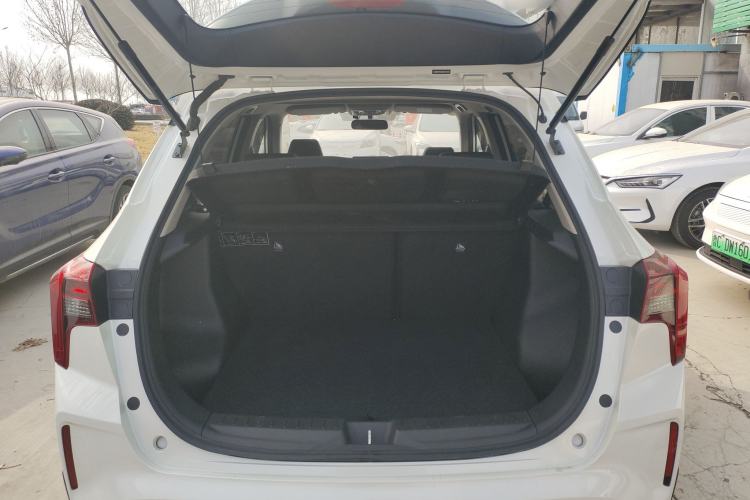 Used Venucia T60EV 2020 AI Fashion Model