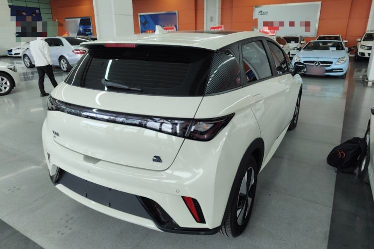 Used BYD Dolphin 2023 420 km Fashion Edition