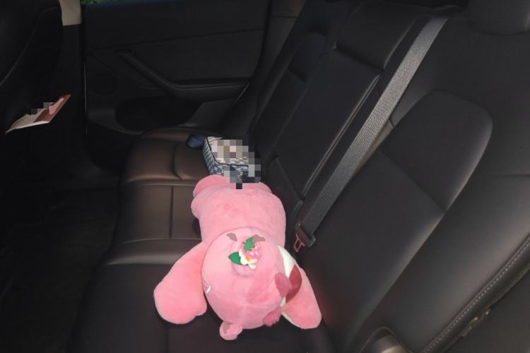 Used Tesla Model Y 2023 Rear-Wheel-Drive Version