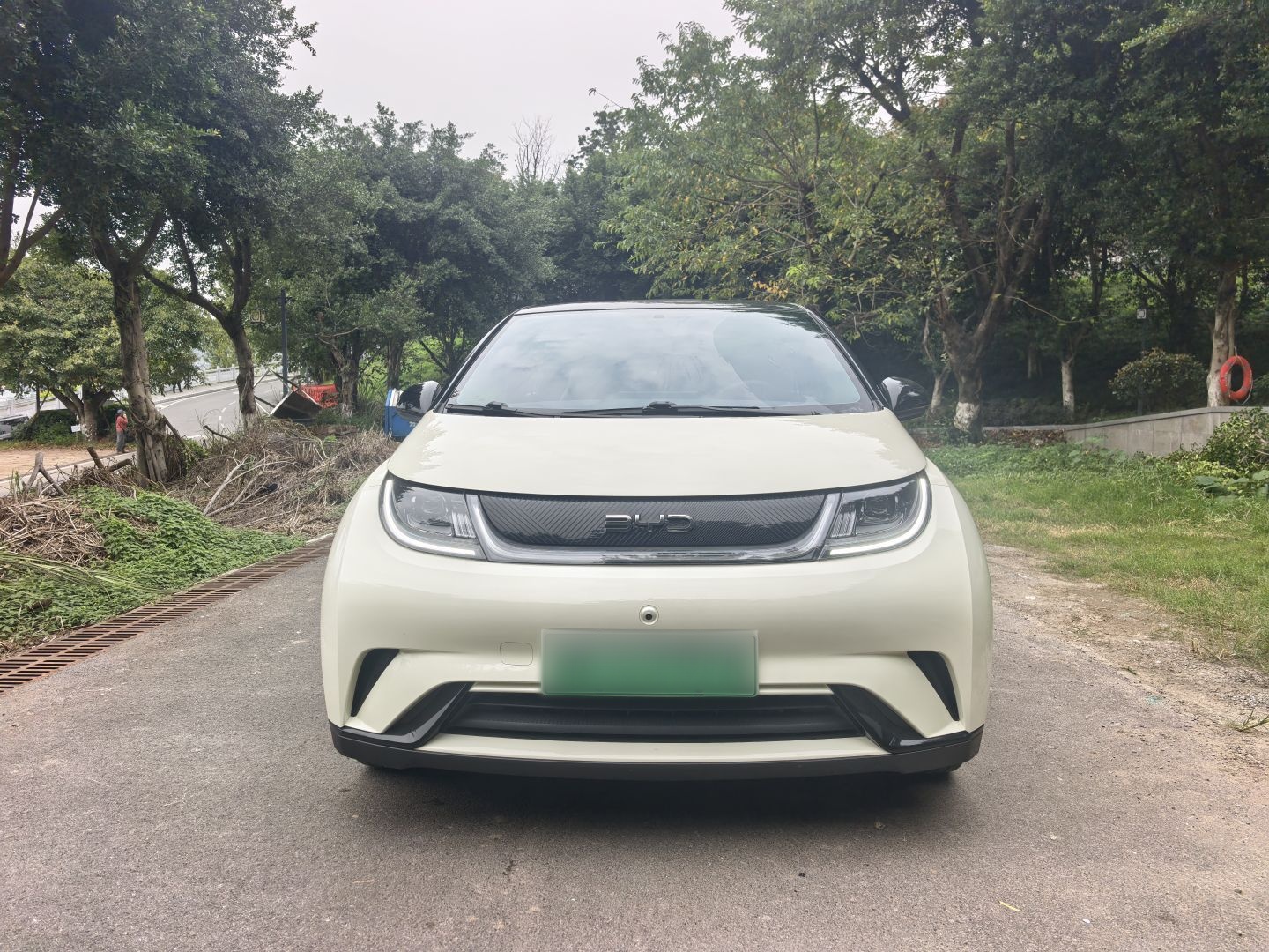BYD Dolphin 2025 420km Free Edition — снимка 13