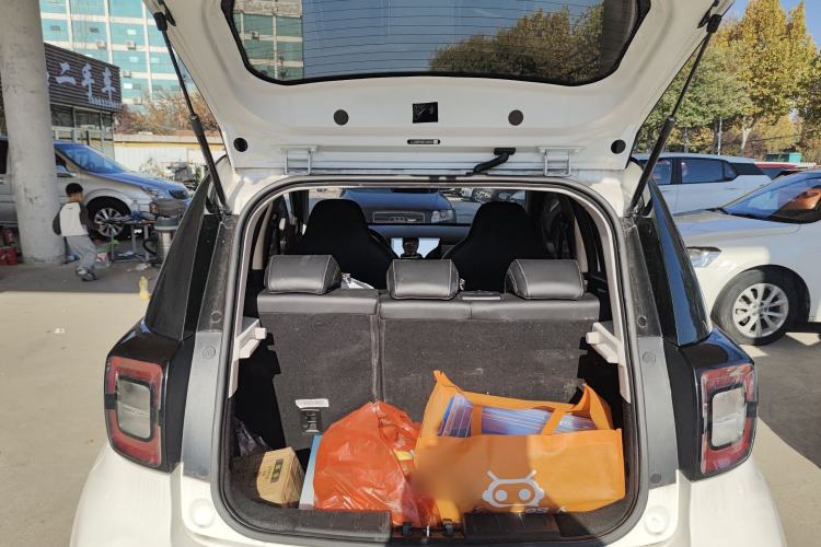 Used SOL E10X 2022 Flower Fairy Design Four-Leaf Clover