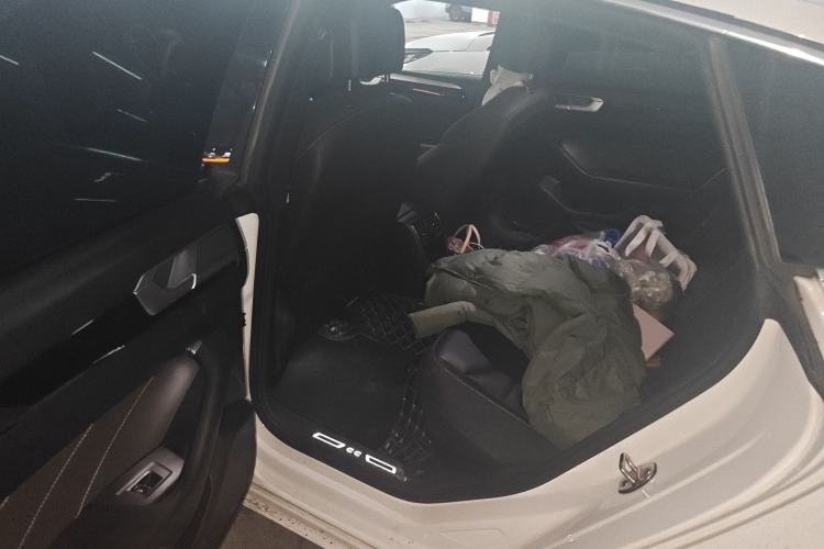 Used Volkswagen FAW-Volkswagen CC 2021 380TSI Striking Edition Left Rear Seat