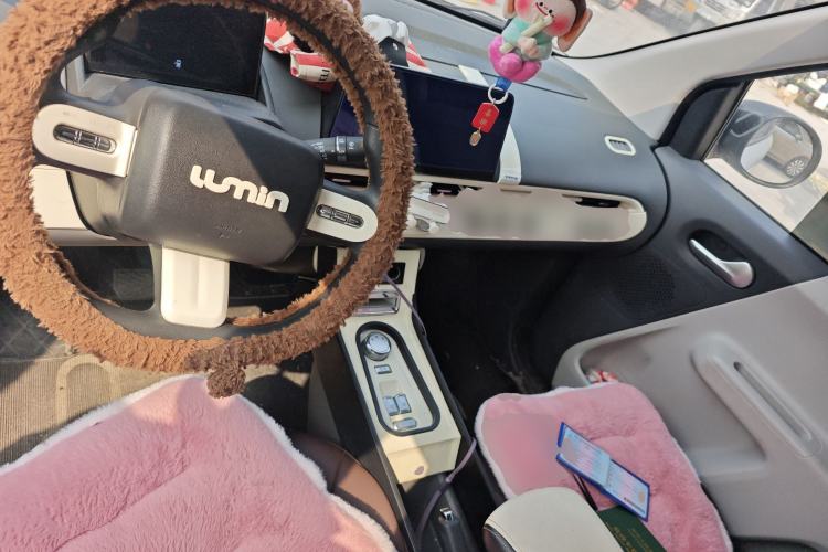 Used Qiyuan Lumin 2023 205km Xiangqin Version
