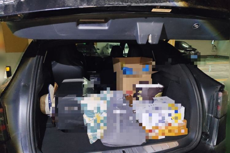 Used Tesla Model X 2017 X 100D Long Range Edition
