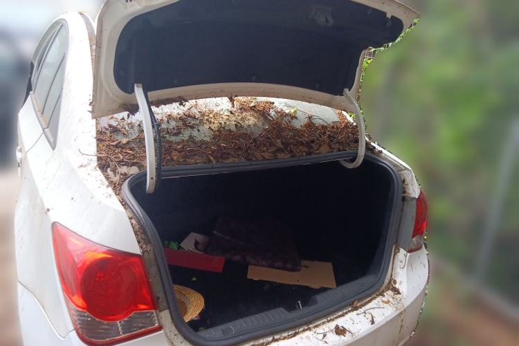 Used Chevrolet Cruze 2013 1.6L SL Grand Edition Automatic Trunk