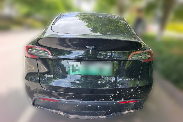 Used Tesla Model Y 2021 Long-Range All-Wheel-Drive Version 3D7