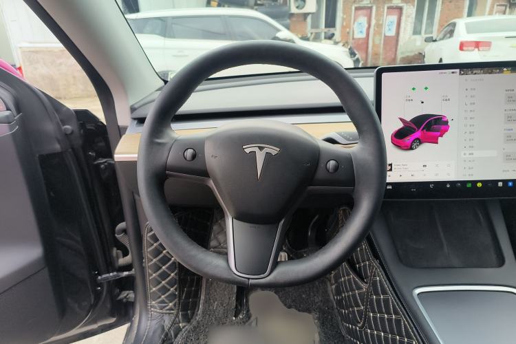 Used Tesla Model Y 2021 Standard Range Rear-Wheel Drive Version
