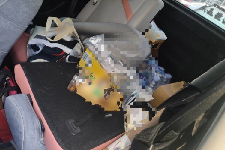 Used Chery QQ Little Ant 2022 Restyled Version Sweet Pink Edition Half-Sugar Version 30.6 kWh 30 kW 301 km Left Rear Seat