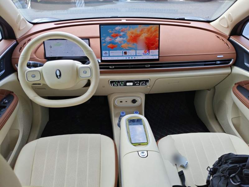 Used ORA Good Cat 2025 Model, 430 km Prestige Version — 10