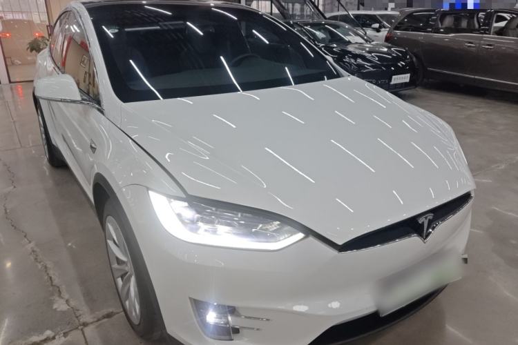 Used Tesla Model X 2016 X P100D Performance High-Performance Edition Exterior 1