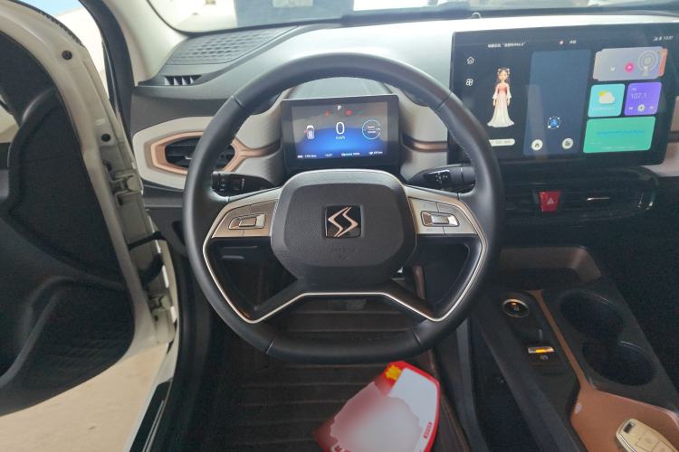 Used SOL E10X 2022 Flower Fairy Design Sunflower