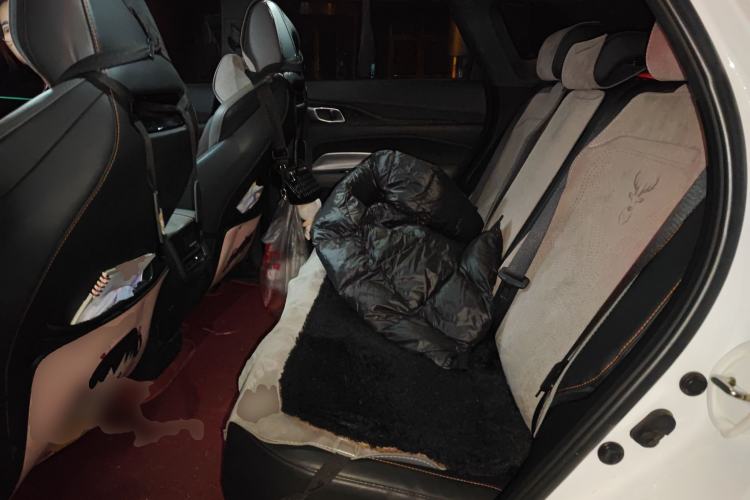 Used Oshan Z6 2022 Blue Whale 1.5T DCT Smart Edition Urban Version