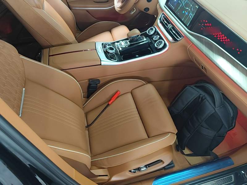 Used Hongqi H9 2020 Revised Version 2.0T Smart Connect Flagship Edition — 24