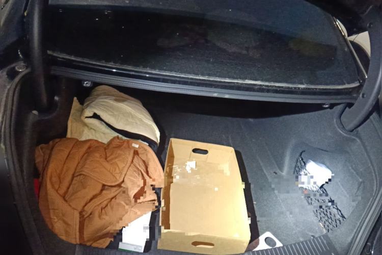 Used Hongqi H5 2023 2.0T Automatic Smart Connect Flagship Edition