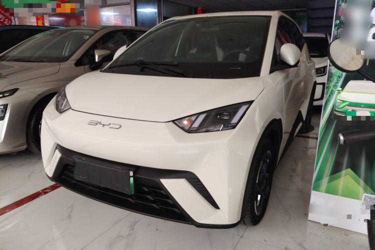 Used BYD Seagull 2023 Flying Edition