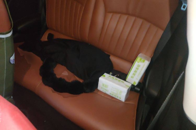 Used MINI 2011 1.6L ONE
