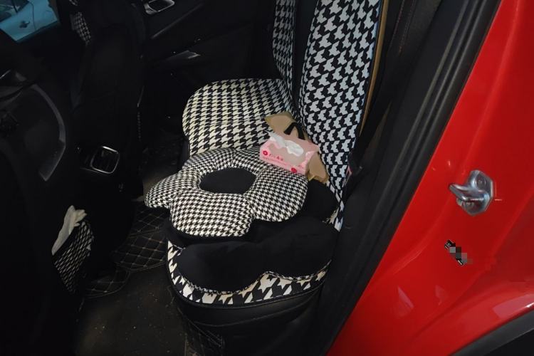 Used Lynk & Co 01 2017 2.0T Four-Wheel Drive Pro Edition Left Rear Seat