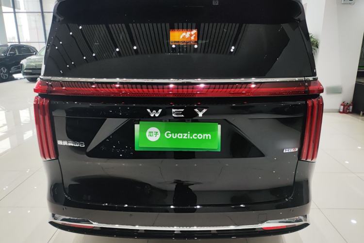 Used Wey Gaoshan 2025 Four-Wheel Drive Alpine 8 Rear