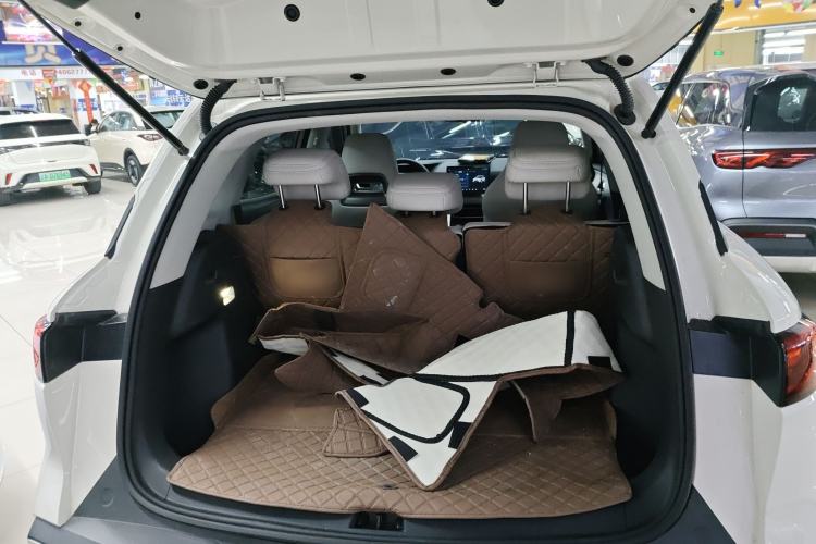 Used BYD Yuan UP 2025 Model 301KM Leading Version