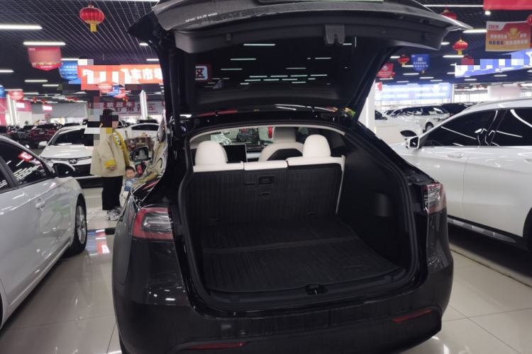 Used Tesla Model Y 2021 Standard Range Rear-Wheel Drive Version
