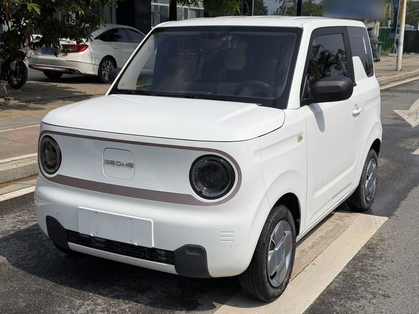 Geely Galaxy Panda 2023 Panda Mini 200km Endurance Bear — снимка 12
