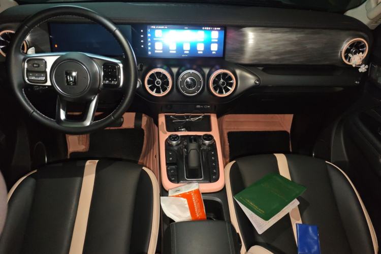 Used Tank 300 2021 City Edition 2.0T—Truly Stylish