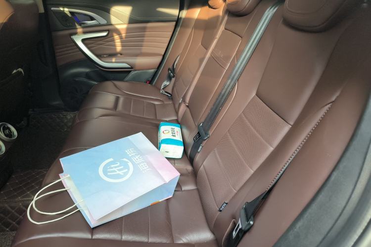 Used Wey VV7 2020 2.0T Flagship Edition Left Rear Seat