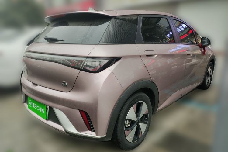 Used BYD Dolphin 2023 420 km Fashion Edition Rear Right 45 Deg