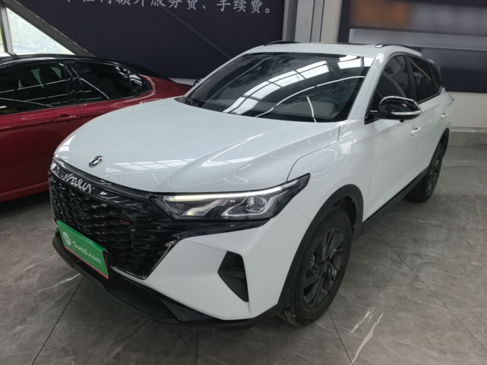 Under Front Bumper