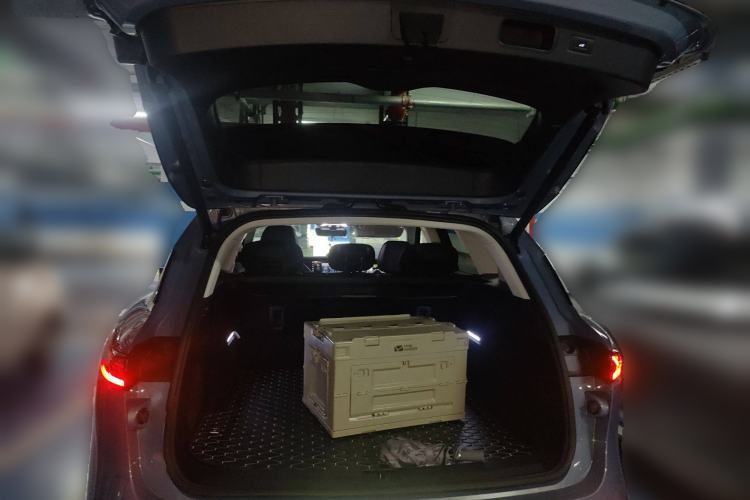 Used VOYAH FREE 2021 Two-Wheel Drive Standard Pure Electric City Edition