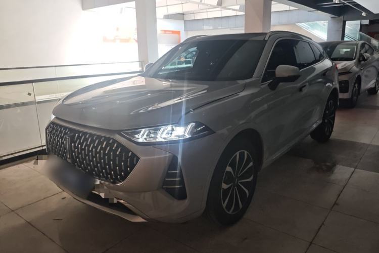 Used Wey Mocha 2021 2.0T Four-Wheel Drive Premium Edition