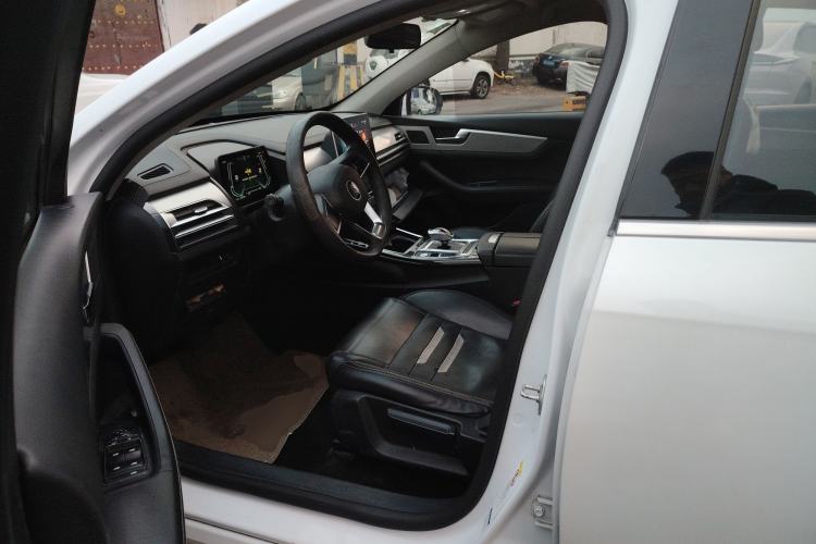 Used BYD Qin Pro New Energy 2019 EV Travel Edition Left Front Seat